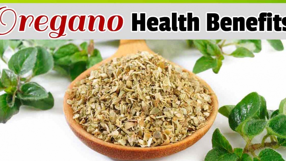 Benefits of Oregano! Article