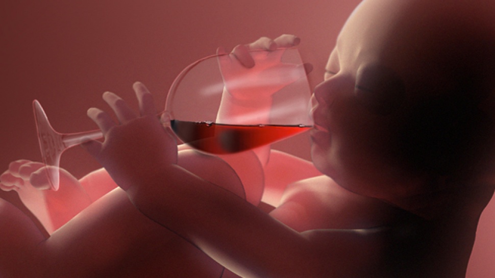 Alcohol During Pregnancy? Article