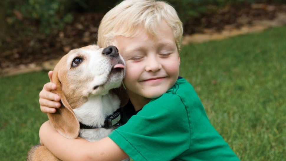 10 Reasons Why Children Should Have a Pet