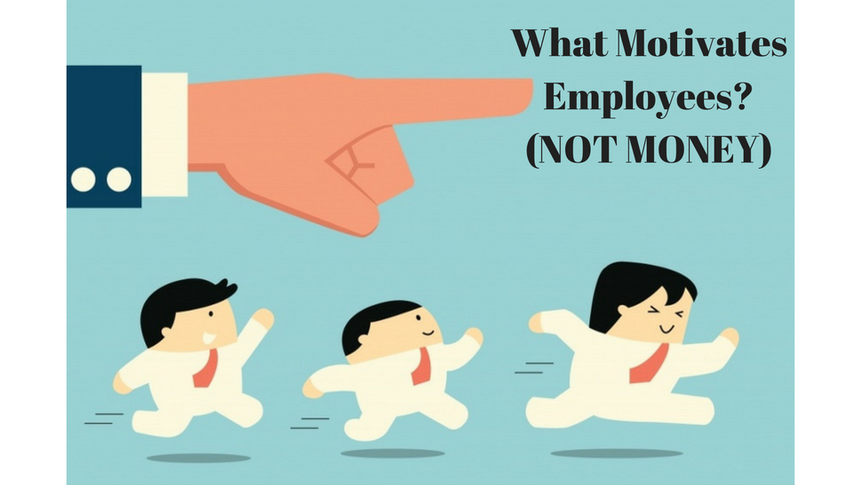 What Motivates Employees? (NOT MONEY) 