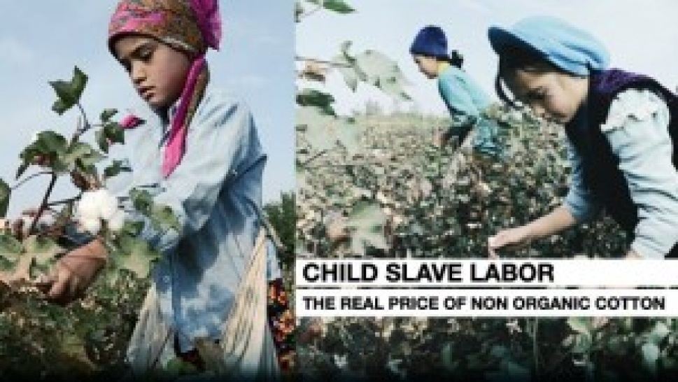 Child Labour in Cotton Industry Article