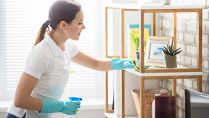 Spring Cleaning Ideas to Renew Your Home