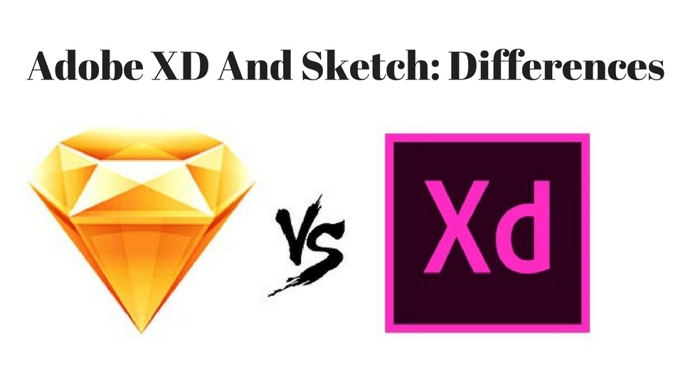 Adobe XD And Sketch: Differences