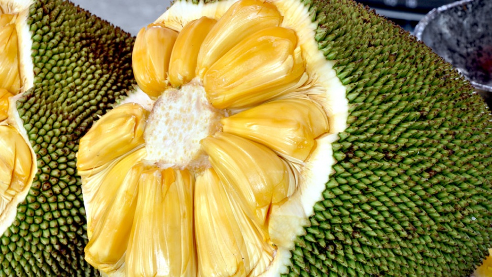 The Biggest Fruit in the World – Jackfruit