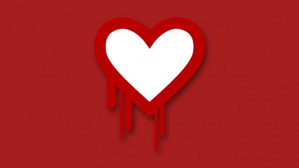 Heartbleed - Who Handles Internet Security?