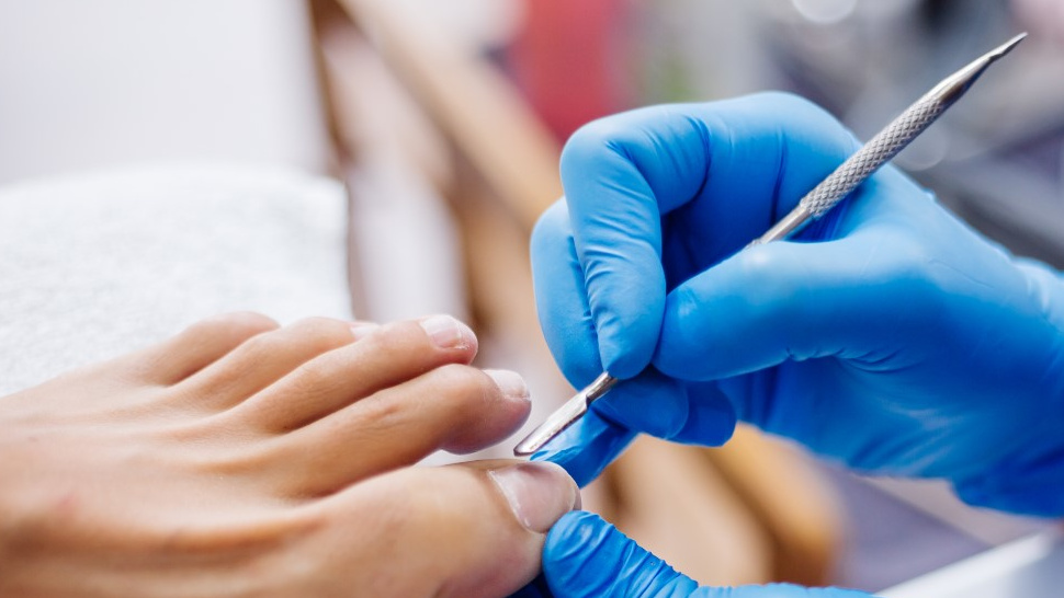 Understanding Health: A Holistic Approach to Living Well