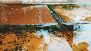 10 Costly Mistakes People Make After Water damage restoration st petersburg Emergencies