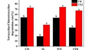 ‌Research on the Biodegradation and Bioaugmentation of Tetracycline