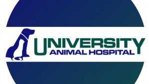 Choosing the Right Veterinarian Upper East Side NYC: What to Expect and Why Care Matters