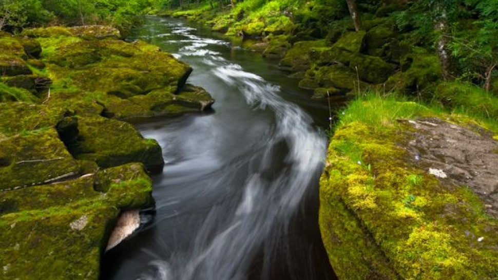Bolton Strid - Stream that “Swallows” People