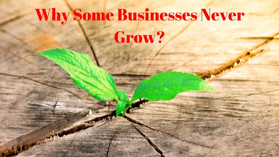 Why Some Businesses Never Grow? Article