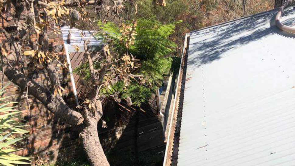Clogged Gutters Got You Down? Your Ultimate Guide to Hassle-Free Gutter Cleaning