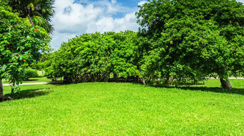 Landscape Supplies Hills District — Create Your Dream Outdoor Space with Martins Building Supplies