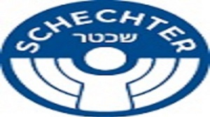 Solomon Schechter Day School: A Premier Jewish Day School in Chicago