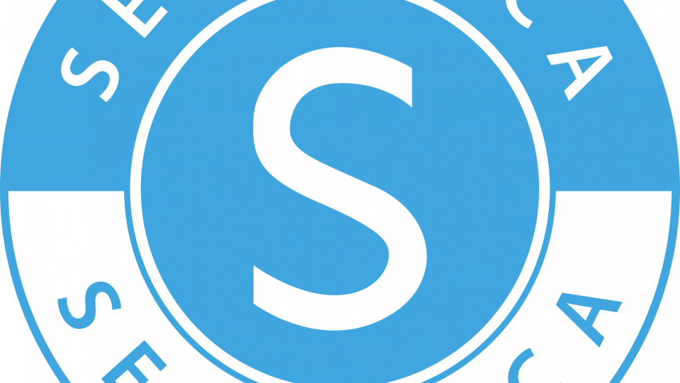 Complete Guide to Septic Pump Repair: Signs, Solutions, and System Care