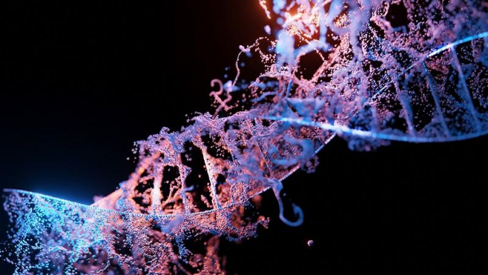 Unveiling the Potential of Metagenome Screening for Enzymes