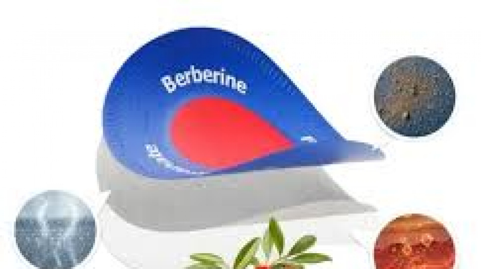 Purisaki Berberine Patches – Easy Daily Health Solution ?