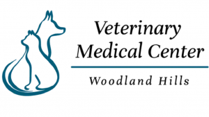 Why Choosing a Trusted San Fernando Valley Vet Matters for Your Pet’s Health