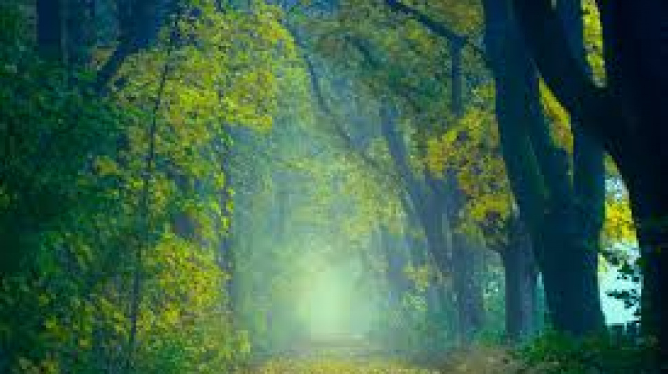 The Bermuda Triangle: Mystery, Science, and Human Imagination