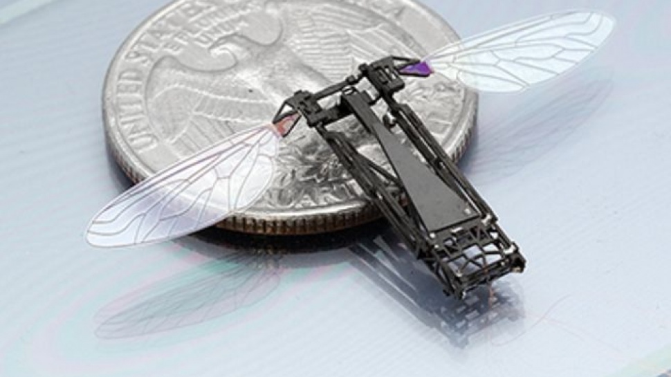 New Drone Flying Insects Lopinion