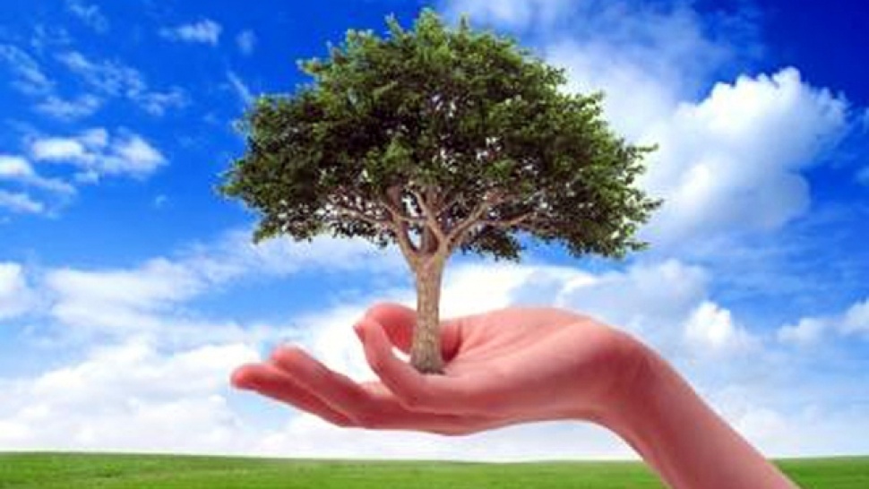 Concern environment