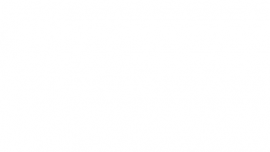 Experience Authentic Flavors with Fire &amp; Feast Inc: Mediterranean Catering at Its Finest