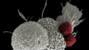 Glyconanoparticle Development: Cutting-Edge Synthesis Techniques and Commercial Applications