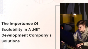 The Importance of Scalability in a .NET Development Company’s Solutions