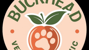 Veterinarian Buckhead GA: Compassionate Veterinary Care for Dogs and Cats