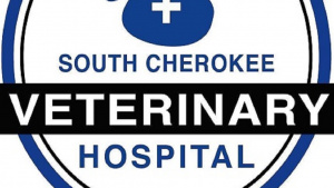 How to Choose the Right Veterinary Clinic Woodstock GA for Your Pet
