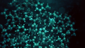 Immune checkpoint functional assays 