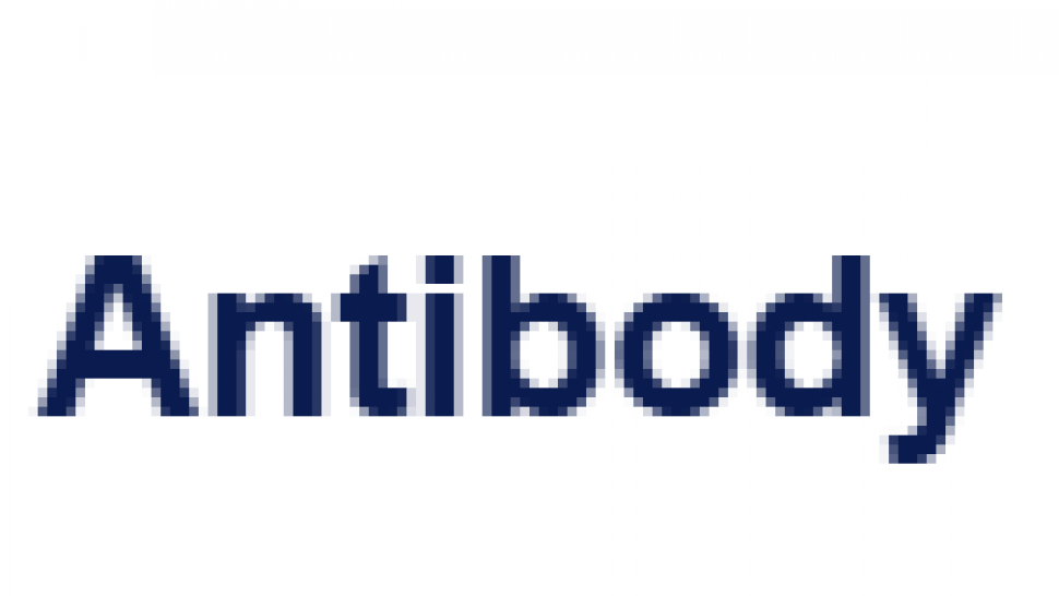 Custom immune checkpoint monoclonal antibody discovery