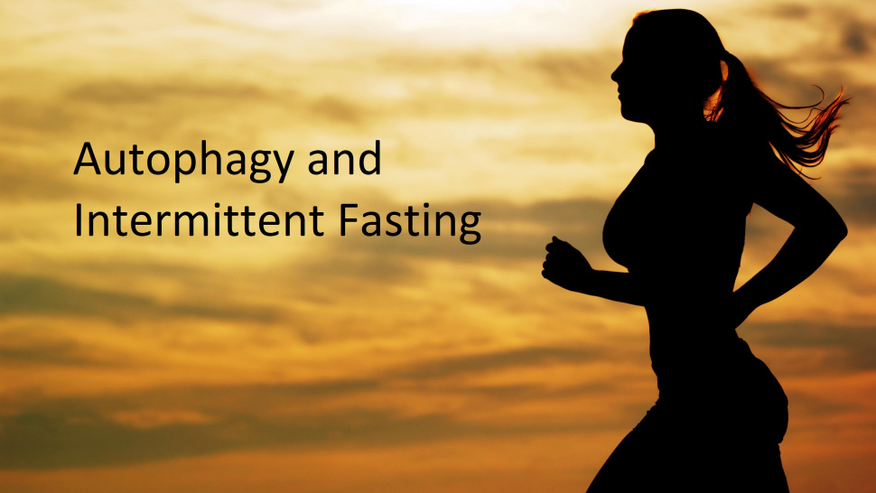 Autophagy and Intermittent Fasting