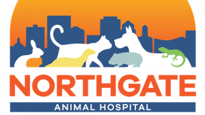 Your Guide to Choosing the Right Dayton Vet for Your Furry Family