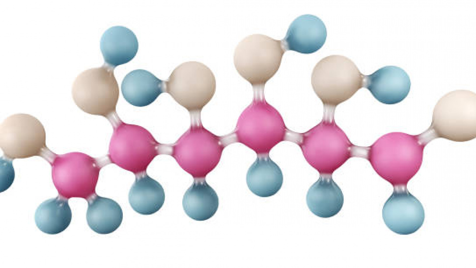 Protein Hydrolysates: Why They Are Becoming Essential in Modern Nutrition