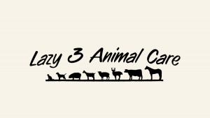 Mixed Animal Veterinarian Cisco TX: Comprehensive Care for Different Animals