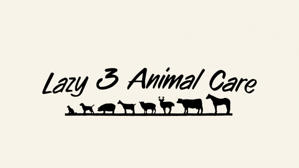 Mixed Animal Veterinarian Cisco TX: Comprehensive Care for Different Animals
