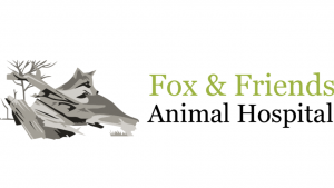 Fox &amp; Friends Animal Hospital: Your Trusted Veterinary Clinic in Ruskin FL