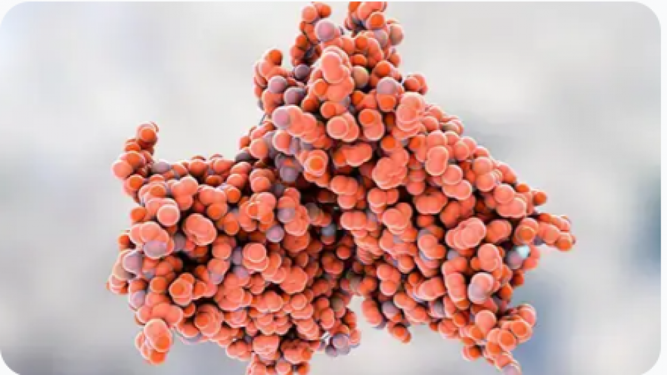Protein Primary Structure Characterization Techniques-Mass Spectrometry