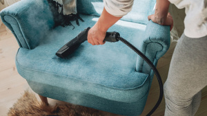 Upholstery Cleaning Raleigh: How to Remove Pet Hair, Stains, and Odors for a Fresher Home