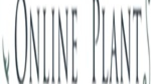 Online Plants