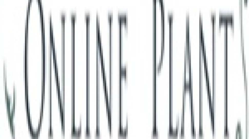 Online Plants