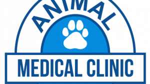 The Preventive Care Framework for Long-Term Pet Wellness