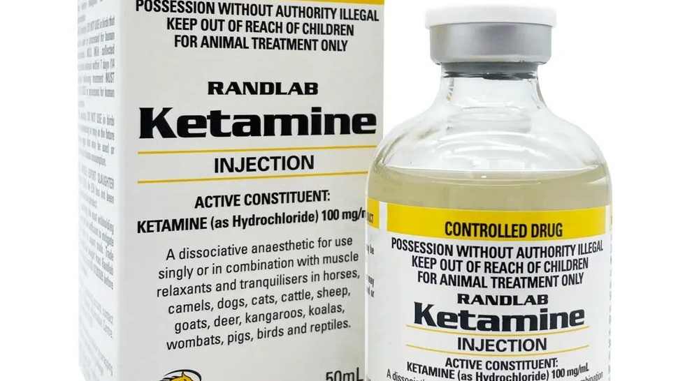 Ketamine for Horses vs. Other Sedatives – Expert Insights from Horse Medicine Store