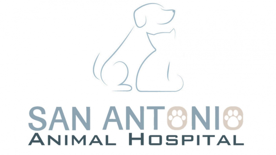The Importance of Comprehensive Veterinary Care