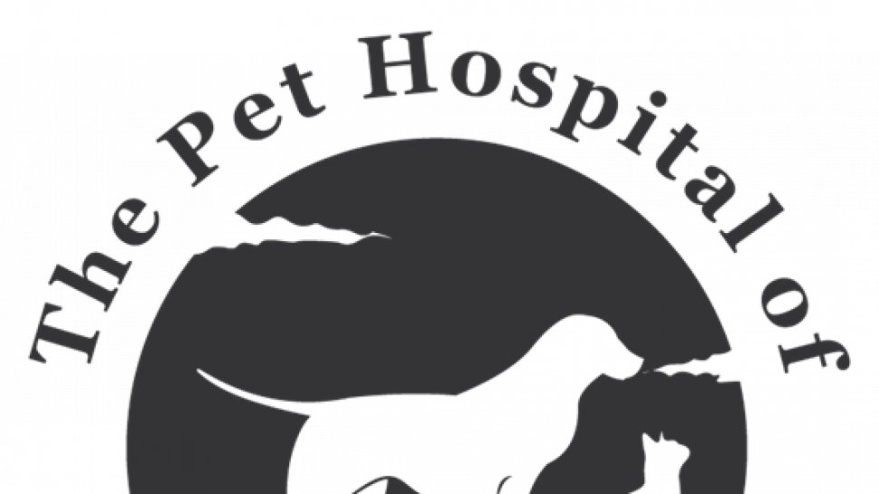 Choosing the Best Care for Your Furry Family Member