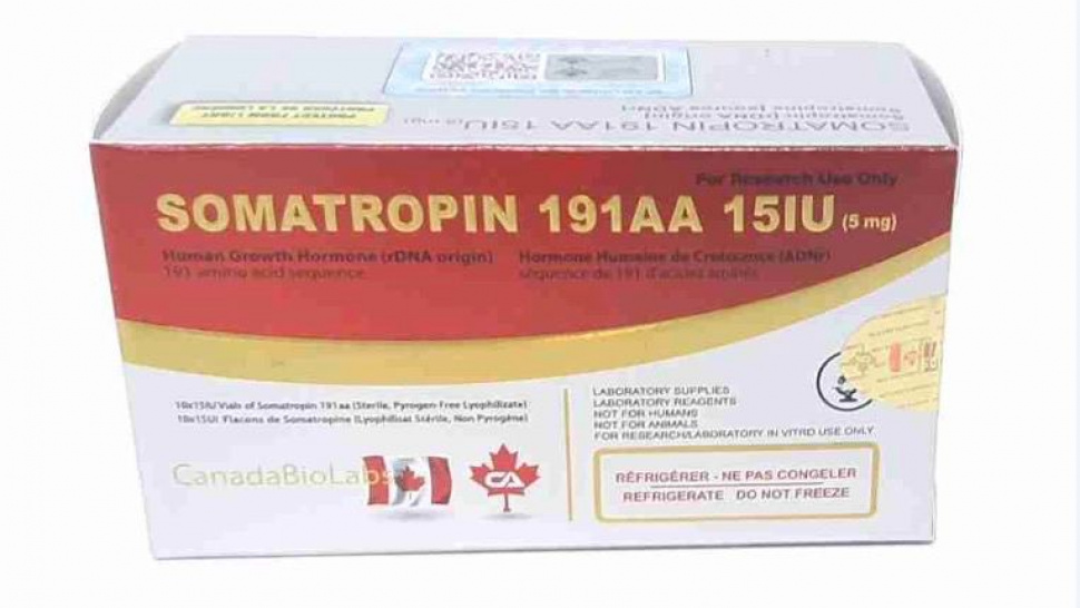 What to Look for When Choosing Injectable HGH: A Straightforward Guide for Buyers