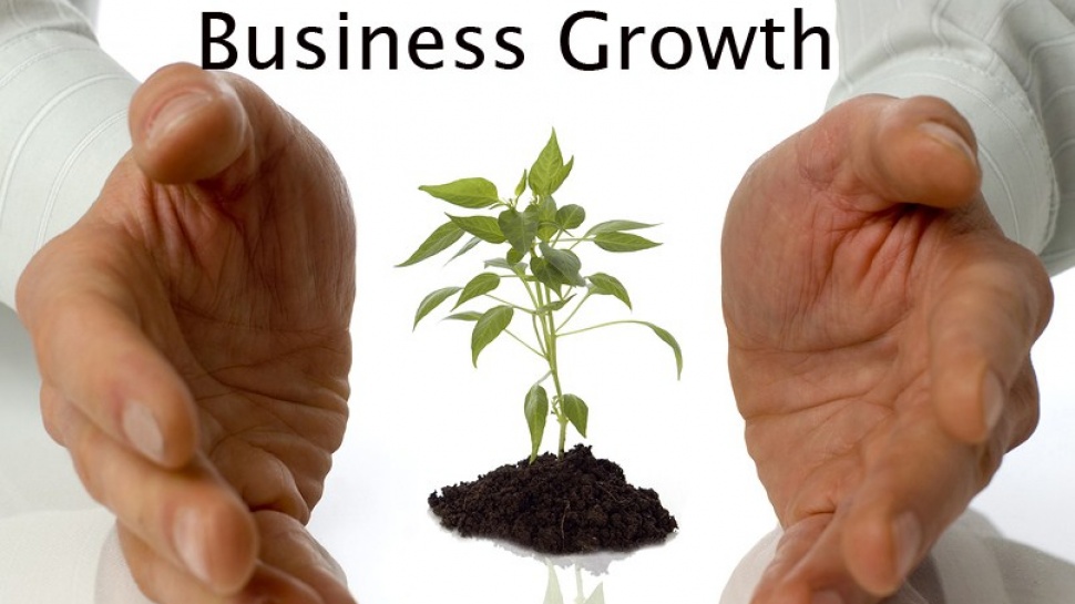 Business growth tips