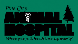 Keeping Your Pets Healthy and Happy: The Ultimate Guide to Pet Wellness