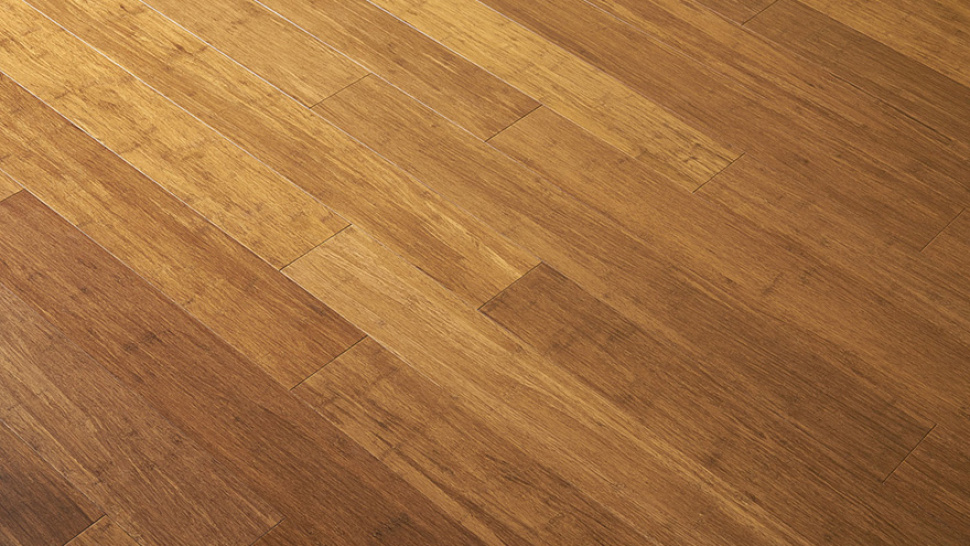 Timber Town vs. Online Suppliers: Where to Buy Rebo and Moso Bamboo Without Getting Scammed